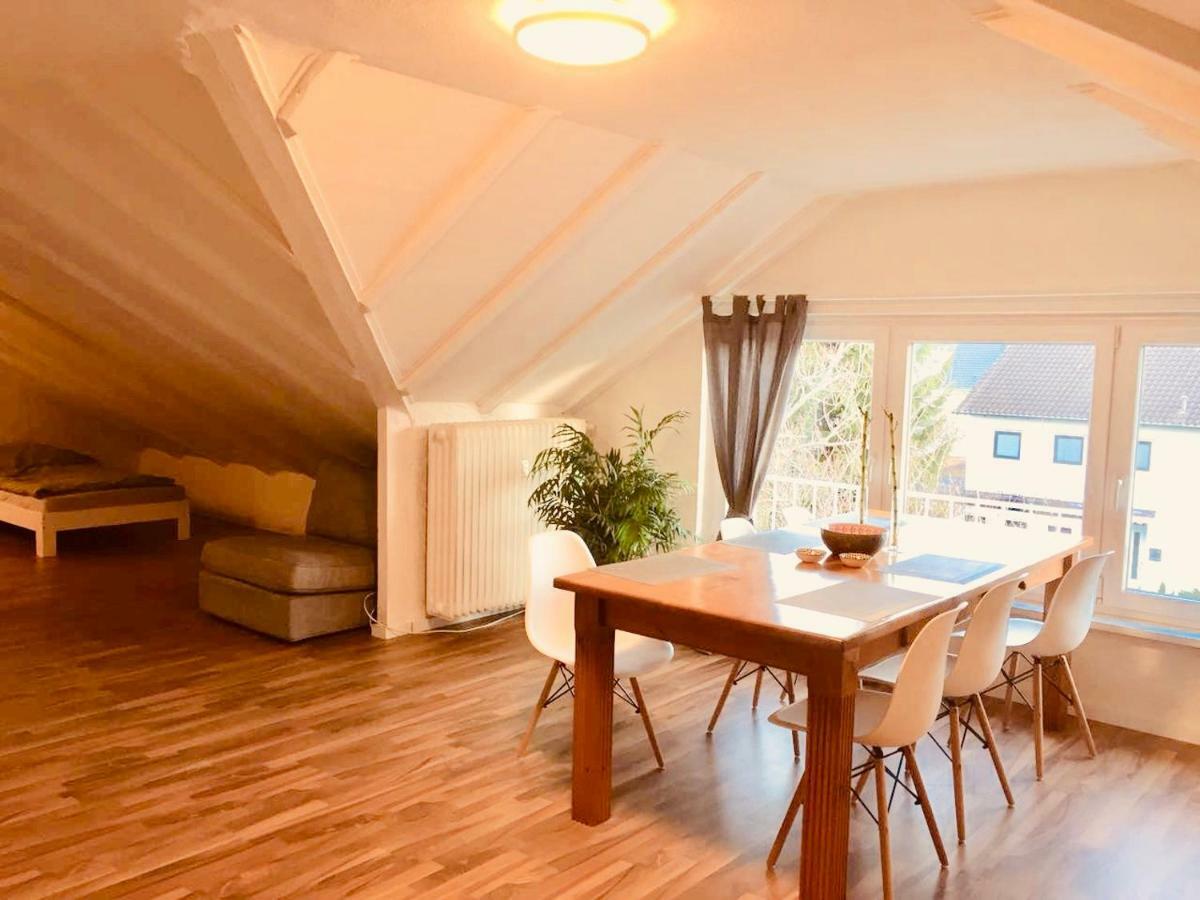 Grosse Dachgeschosswohnung Mit Kueche Und Badezimmer An Der Uniklinik Homburg Homburg  Zewnętrze zdjęcie