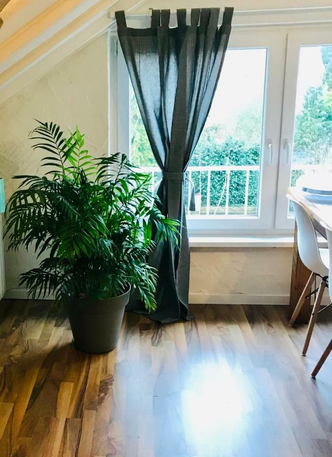 Grosse Dachgeschosswohnung Mit Kueche Und Badezimmer An Der Uniklinik Homburg Homburg  Zewnętrze zdjęcie