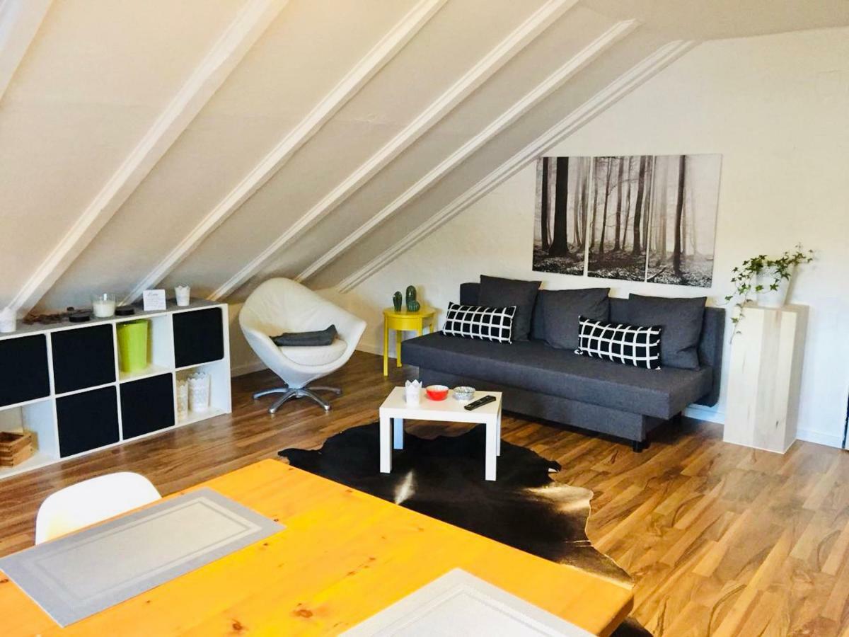 Grosse Dachgeschosswohnung Mit Kueche Und Badezimmer An Der Uniklinik Homburg Homburg  Zewnętrze zdjęcie